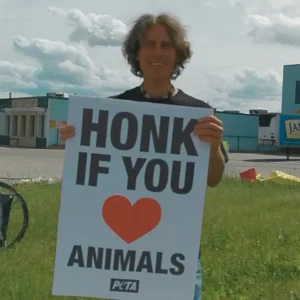 Marc Biollo - VVoA Board Member