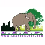 Lucy's Edmonton Advocates Project logo